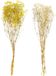 DKD Home Decor Decoratieve plant Beige Geel (2 Stuks) (20 x 20 x 70 cm)