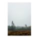 Fine Little Day Affiche Skog 70x100 cm