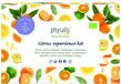 Physalis Citrus experience kit 4 x 10 ml