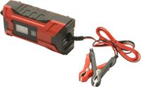 Fluxon Acculader 6V/12V - 2A/4A