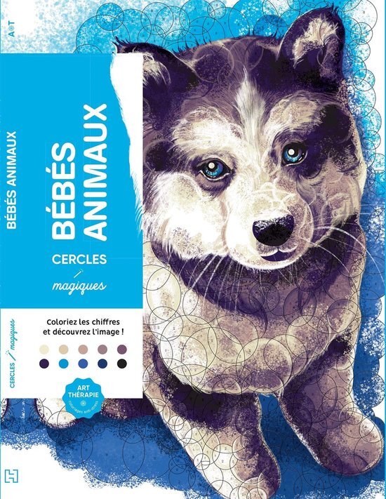 hachette pratique Cercles magiques Bébés Animaux