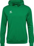 Hummel Hoodie Hmlauthentic Pl 219976