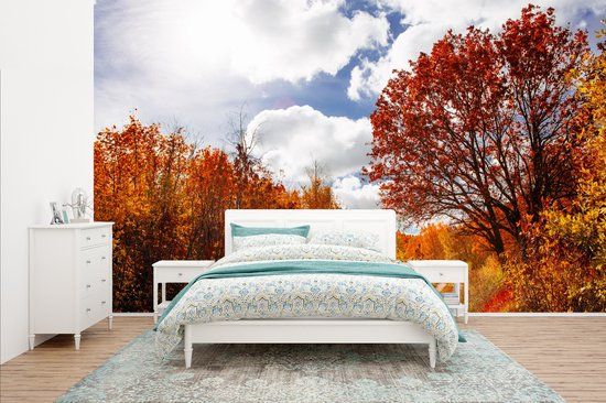Nr1Wallpaper Fotobehang Boom - Pad - Herfst - 400x240 cm - Vlies - Multicolor