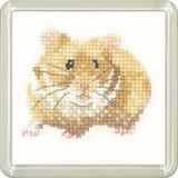 Merkloos Kruissteek Set - Borduurpakket - Huis Decoratie - Compleet Pakket - 75 x 75 cm - Multicolor