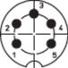Lumberg 0137 05-1 DIN-connector Prise, droit Nombre de pôles : 5 Argent 1 pièce(s)