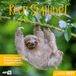 Keep Smiling Kalender 2027 - 30x30 - Art12: Humorvoller Tier-Kalender im schlanken Hochformat