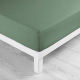 Douceur d'intérieur Lina Ceder Fitted Sheet 160 x 200 cm 100% Cotton