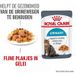 ROYAL CANIN FCN Urinary Care Jelly 12x85 g