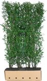 Merkloos Ligustrum ovalifolium 200 cm