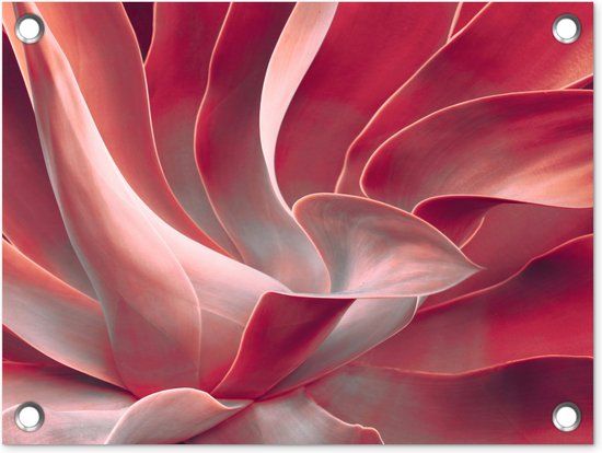 GreatGardenPosters Tuin decoratie Stilleven - Bladeren - Plant - Roze - 40x30 cm - Tuindoek - Buitenposter