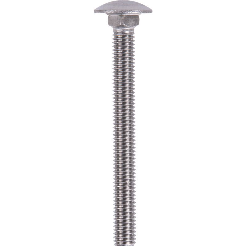 Slotbouten RVS M6x100mm (10 Stuks)