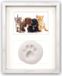 Zep Gand - Fotolijst - Wit - MDF, Hout - 27,20 cm x 22,20 cm - Rechthoek