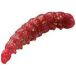 Berkley Vers En Plastique Red Scales Powerbait Worm 25 Mm Miel