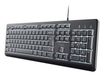 Trust Primo Verlicht, Taille normale (100%), Câble, USB, QWERTY (États-Unis), Noir