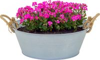Mega Collections Old Rope Plantenpot - Zink - Zilver - D40 x H14 cm