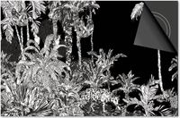 Dietrix Inductie Beschermer - Jungle Tekening Dieren - 59x52cm