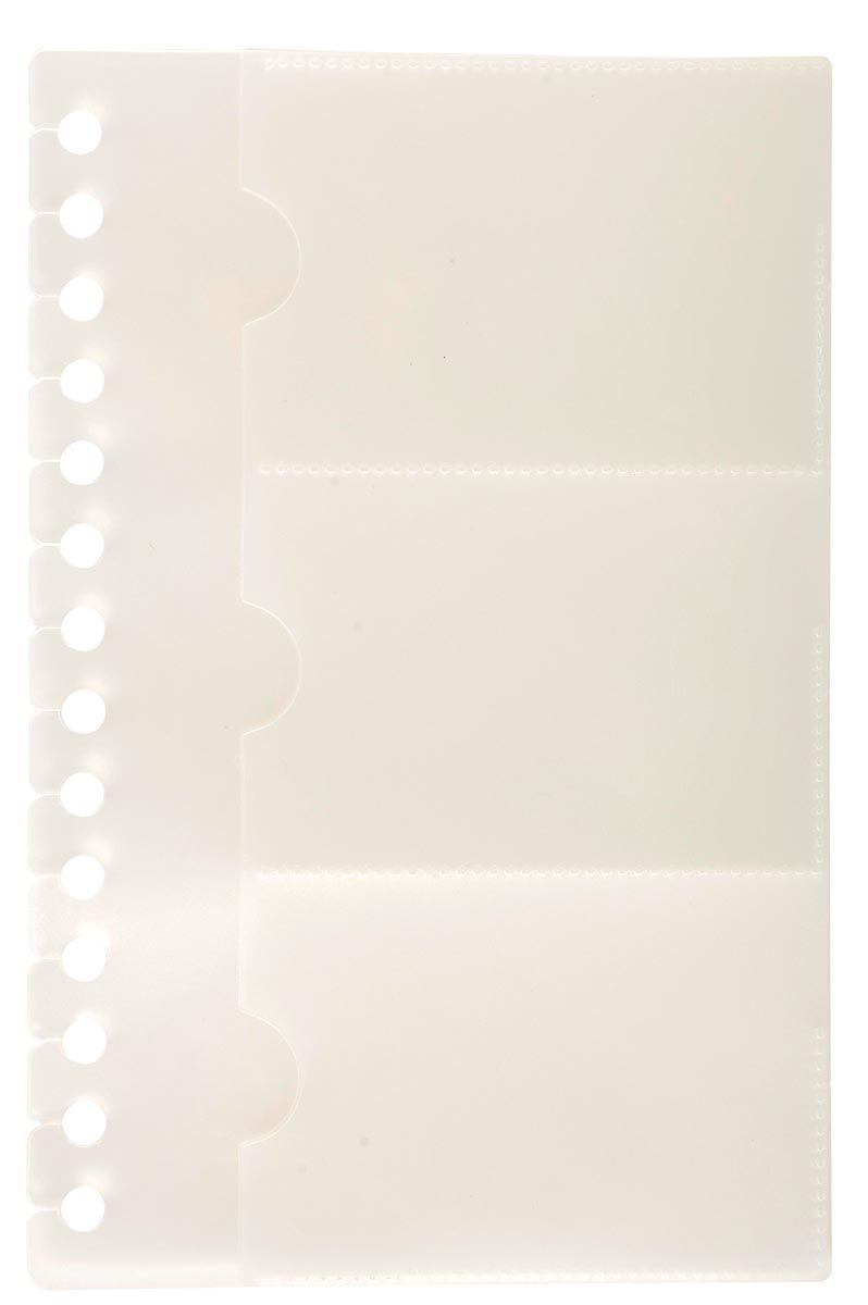 Exacompta Exactive visitekaartentassen voor Exacard 75034E - pak van 10 navullingen