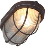 Mexlite Lisanne Plafondlamp Bruin/Transparant Glas Metaal 21cm - E27