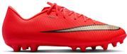 Nike Mercurial Zoom Vapor 17 Academy AG
