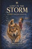 Lost Libri GmbH Lost in the Storm Paperback