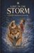 Lost Libri GmbH Lost in the Storm Paperback