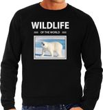 Bellatio Decorations Bol Dieren foto sweater Ijsbeer - zwart - heren - wildlife of the world - cadeau trui Ijsberen liefhebber L