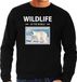 Bellatio Decorations Bol Dieren foto sweater Ijsbeer - zwart - heren - wildlife of the world - cadeau trui Ijsberen liefhebber L