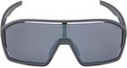 Alpina Bonfire Zonnebril Transparant Black/CAT3
