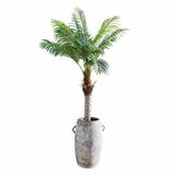 Loberon Decoratieve potplant Zephyriel groen
