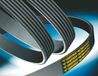 Contitech 10PK1075 V-riem geribbeld