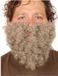 Faram Party Faram Verkleed baard - Grijs - Kabouter - Dwerg - Opa