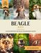 Beagle Buch: 40 Bilder & Fakten | Beagle Hundebuch als Geschenk für Kinder & Erwachsene