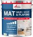 ARCADECO Peinture murale mate professionnelle – 1665 – Blanc – Mat – 10L