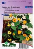 Merkloos / Sans marque Sluis Garden Thunbergia alata Bloemzaden - Kleurenmix