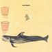 Connecters Larrison - Connectors Vol.1: Original Recordings 1992-1999 (LP)