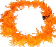 Faram Party Carnaval verkleed veren boa slinger - oranje - 180 cm - 50 gram - Dames