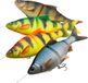 Savage Gear 4D Line Thru Roach MS - 18 cm - golden ambulance