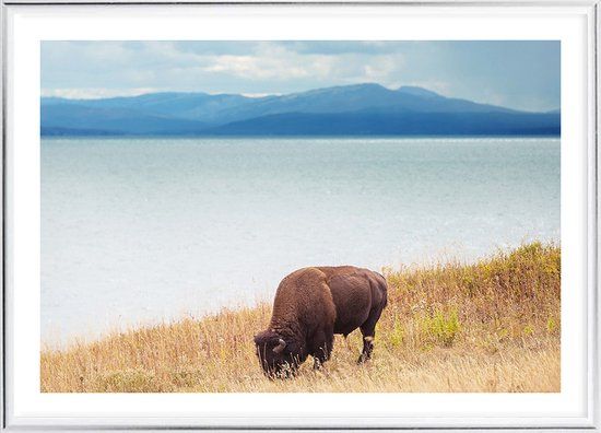 Posterdeco Poster Wild Yellowstone - Metaal Zilveren - Rechthoek - 21x30 cm - Met lijst