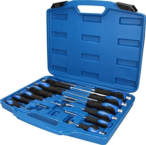 BRILLIANT TOOLS BT034012 Schroevendraaierset met slagkap, 12-delig [Powered by KS TOOLS]