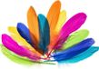 Plume d'oie de couleur néon, 15-20 cm