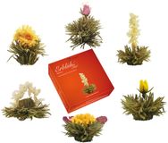 Creano Bloementhee Witte Thee Proefpakket – 6 Handgemaakte Smaakvariaties – Navulverpakking voor Glazen Teepotten – Blooming Tea Cadeau