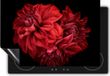 Chefcare Inductie Beschermer Rode Dahlia Bloemen - 89,6x51,6 cm - Multicolor