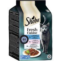 Sheba Fresh Cuisine Natvoer Kat Volwassen Multipack Taste of Tokio 36x50 g
