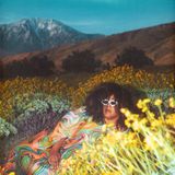 Universal Music Brittany Howard What Now