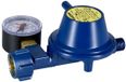 Lankhorst Taselaar Régulateur de pression de gaz Régulateur de pression de gaz 1.5KG/H 30mbar avec manomètre