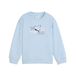 PUMA Essentials Graphics Scribble GFX Relaxed sweatshirt met ronde hals, Maat 5-6Y