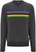 Santini Uci World Champion Sweatshirt Grijs XL Man