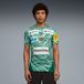 PUMA Füchse Berlin 25/26 thuisshirt Heren Groen/Wit S