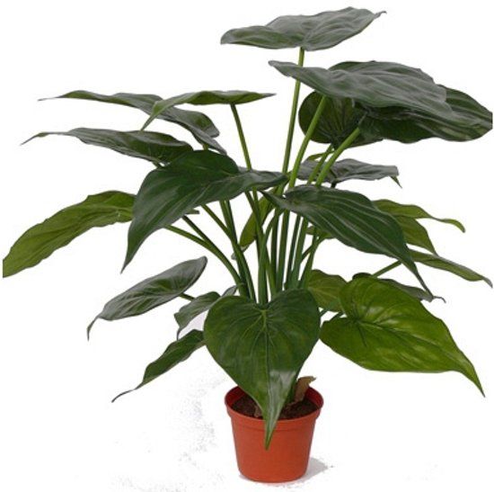 Bellatio Flowers & Plants Kunst alocasia olifantsoor plant 51 cm