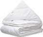 Alpina Dekbed 200x200/220 cm - 4 Seizoenen Dekbed 2 Persoons - Polyester - Wit